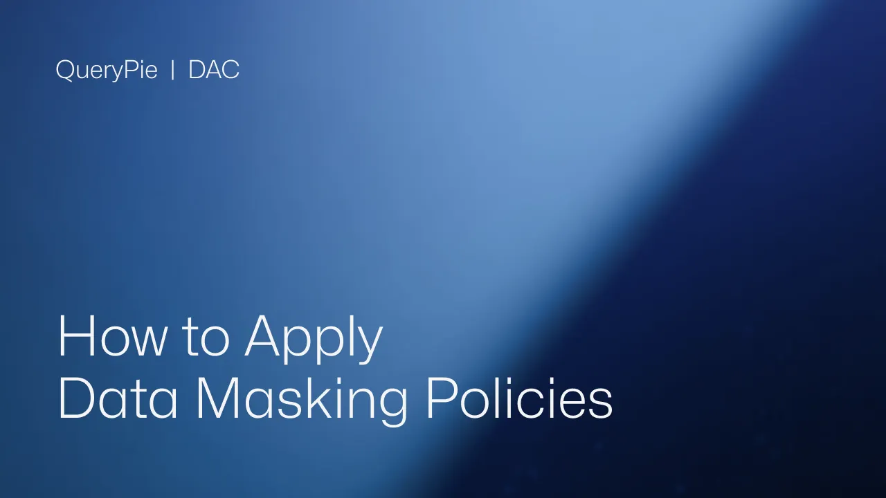 How to Apply Data Masking Policies